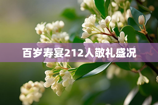 百岁寿宴212人敬礼盛况